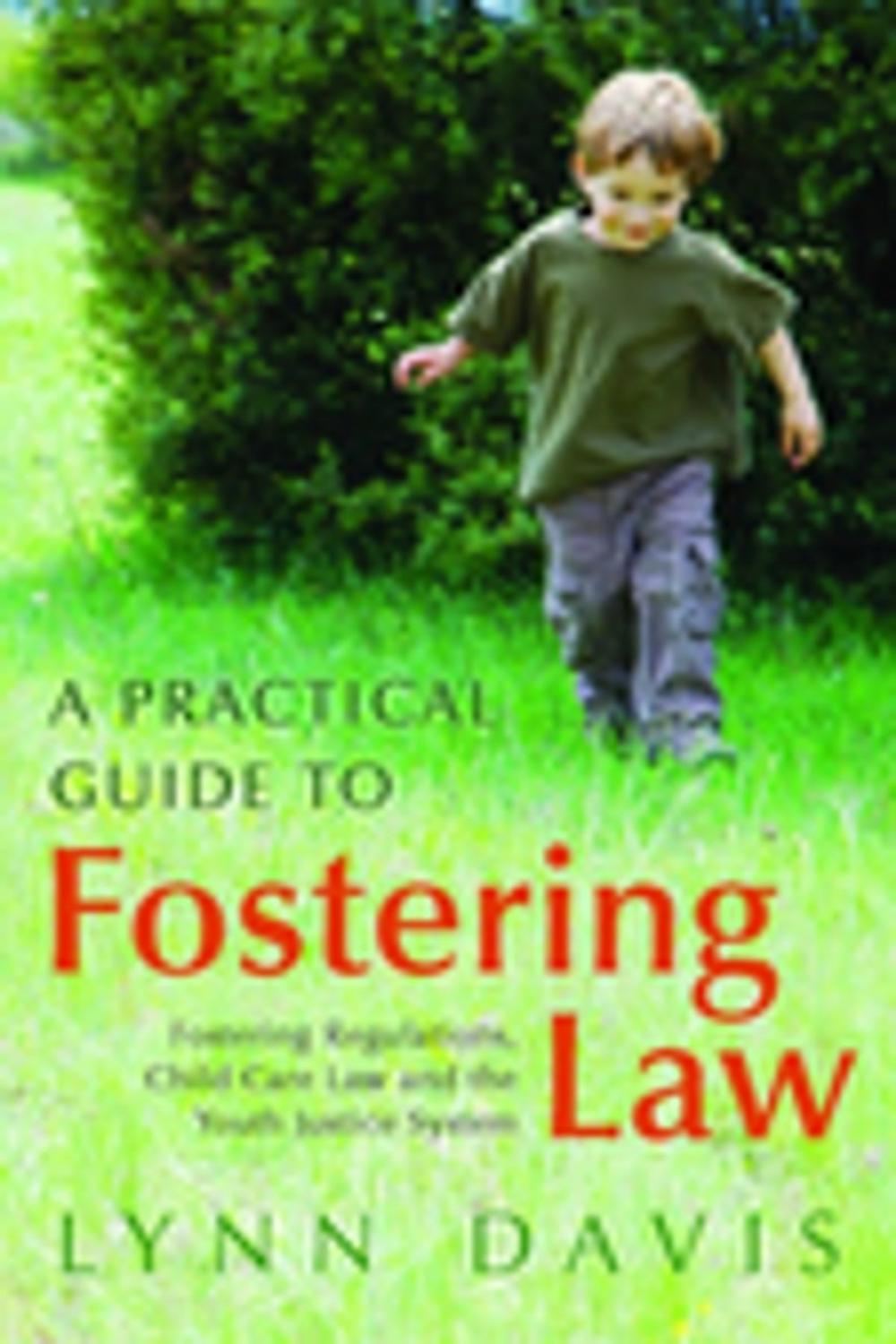 Big bigCover of A Practical Guide to Fostering Law