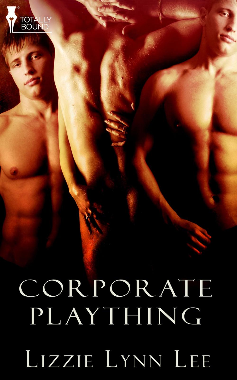 Big bigCover of Corporate Plaything