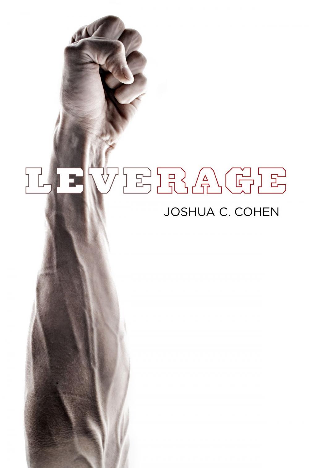 Big bigCover of Leverage