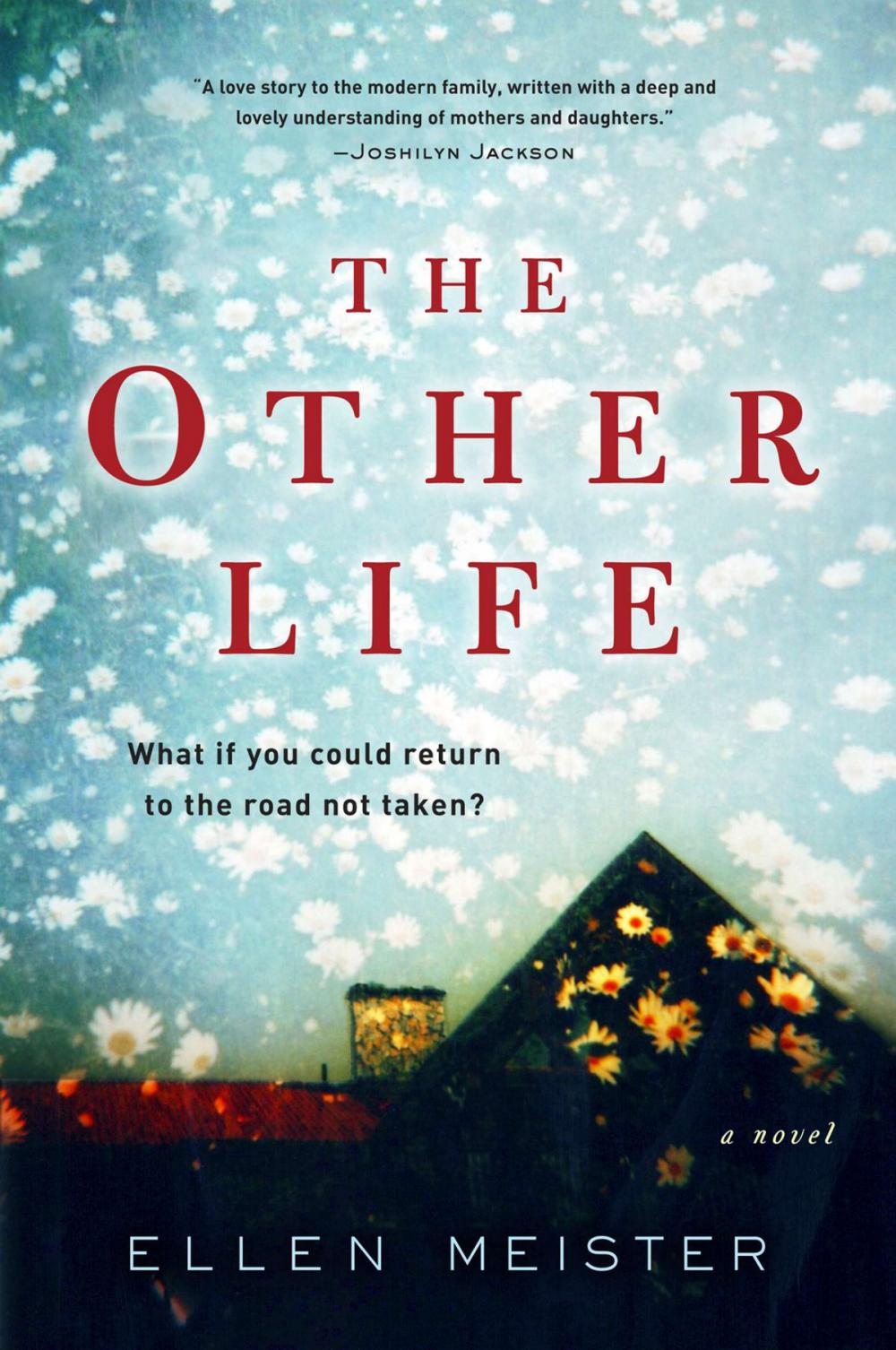 Big bigCover of The Other Life