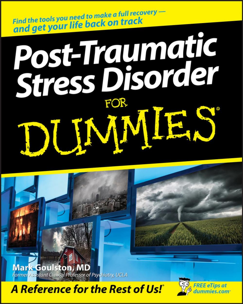 Big bigCover of Post-Traumatic Stress Disorder For Dummies