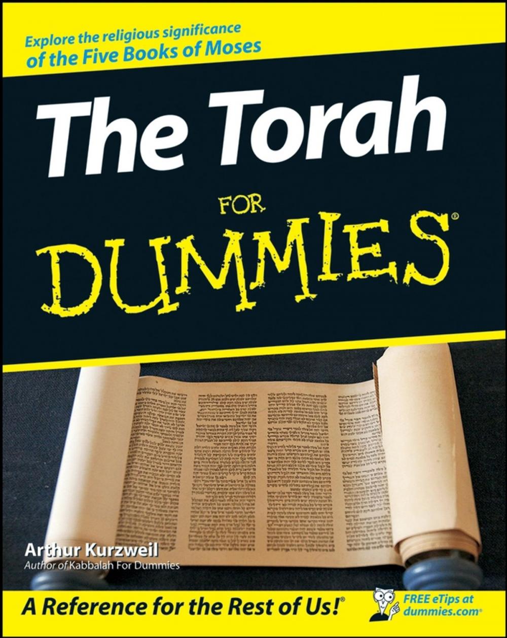 Big bigCover of The Torah For Dummies