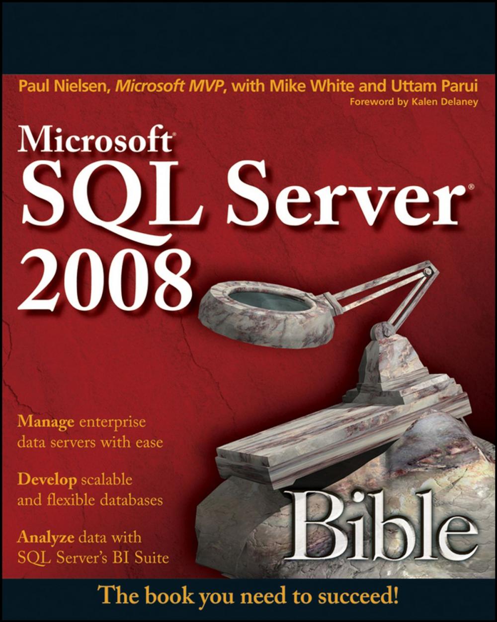 Big bigCover of Microsoft SQL Server 2008 Bible