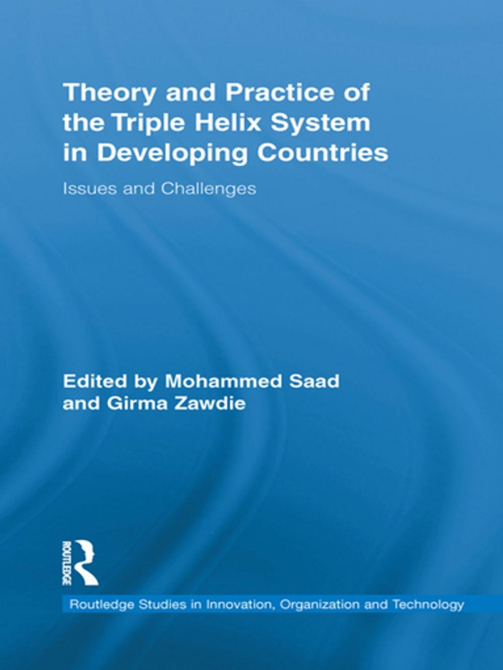 Big bigCover of Theory and Practice of the Triple Helix Model in Developing Countries