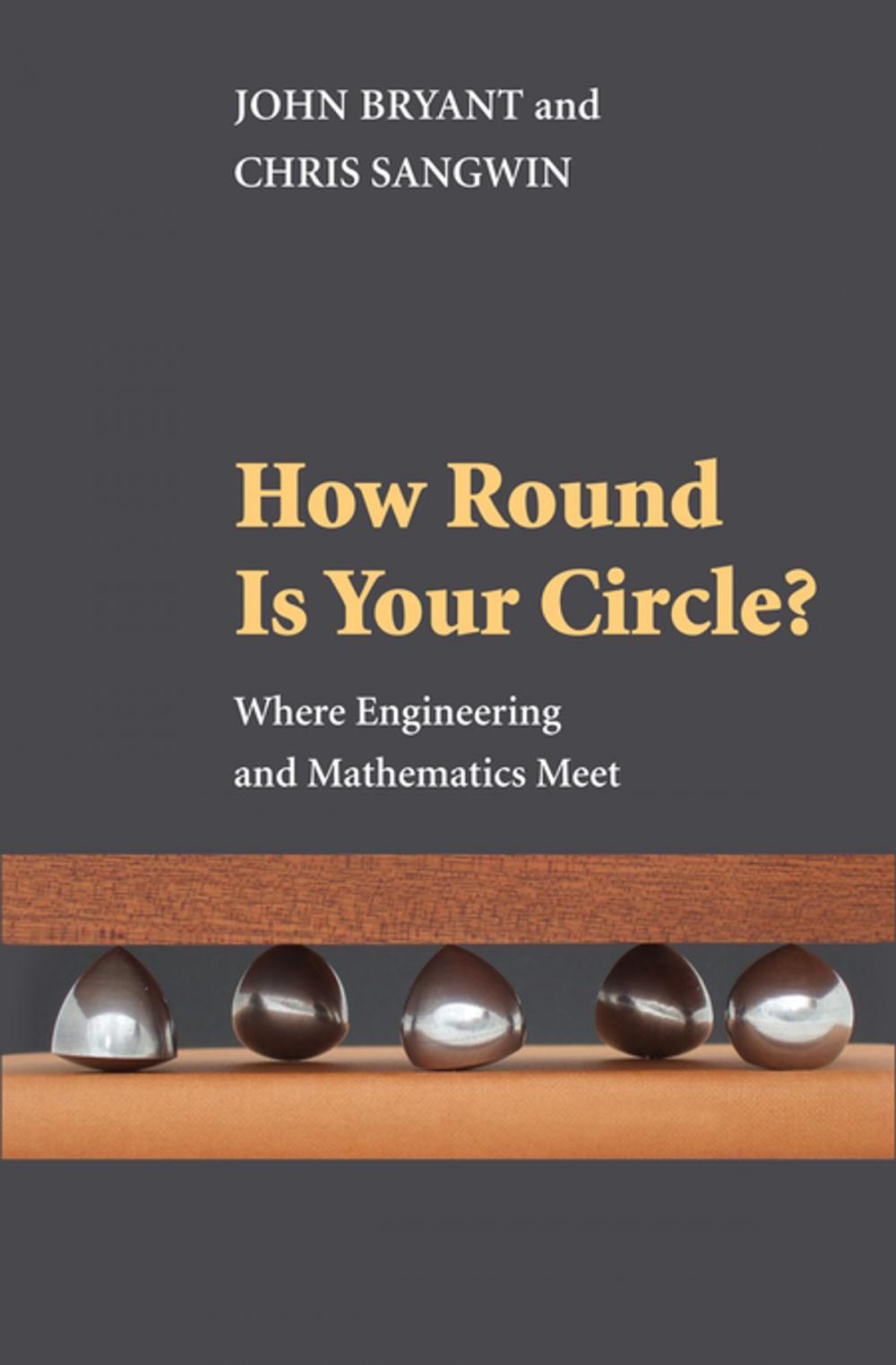 Big bigCover of How Round Is Your Circle?