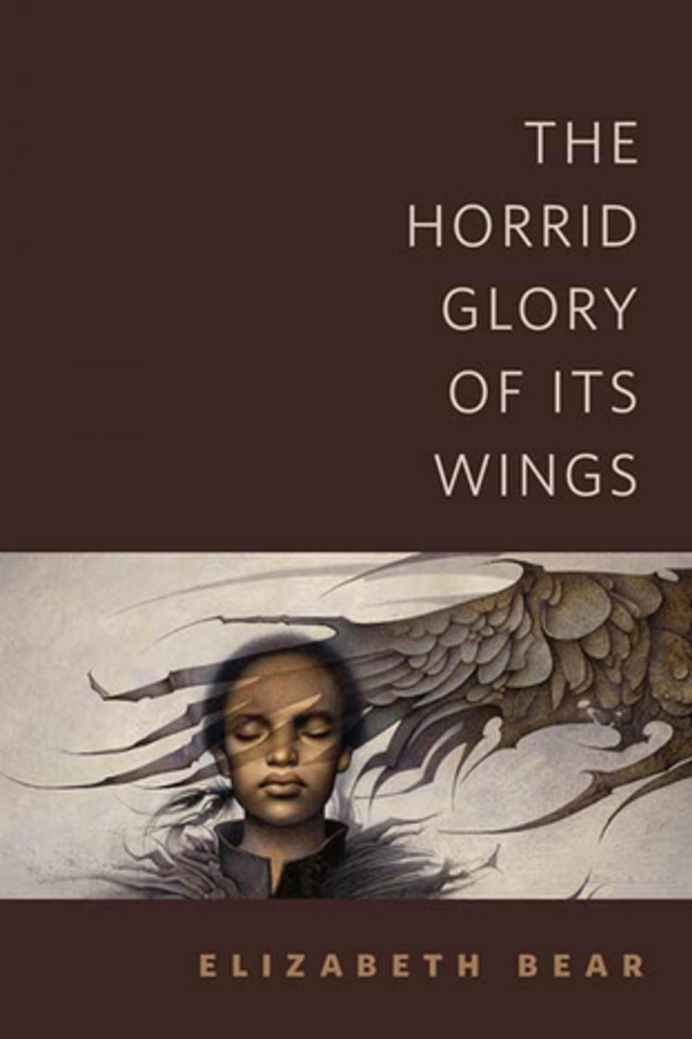 Big bigCover of The Horrid Glory of Its Wings