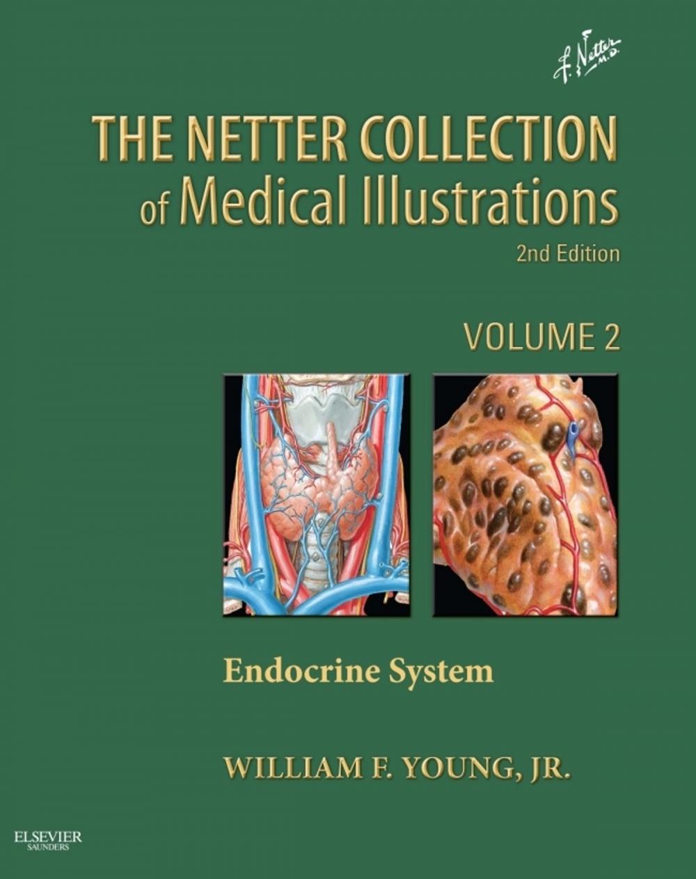 Big bigCover of Netter Collection of Medical Illustrations: Endocrine System E-book