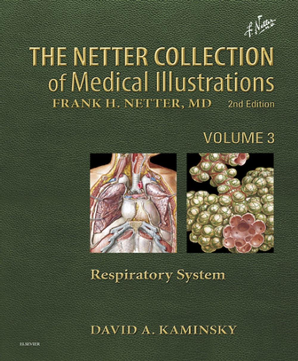 Big bigCover of Netter Collection of Medical Illustrations: Respiratory System E-Book