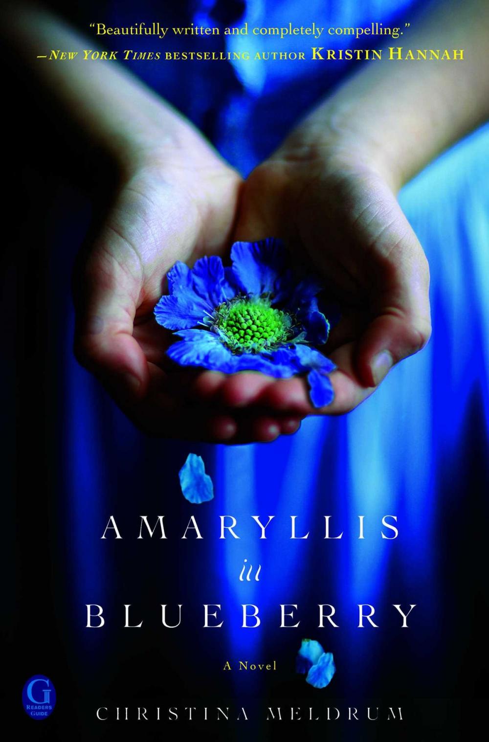 Big bigCover of Amaryllis in Blueberry