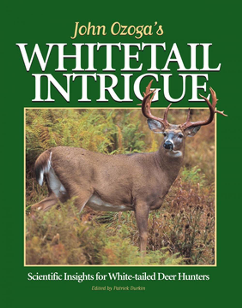 Big bigCover of John Ozoga's Whitetail Intrigue