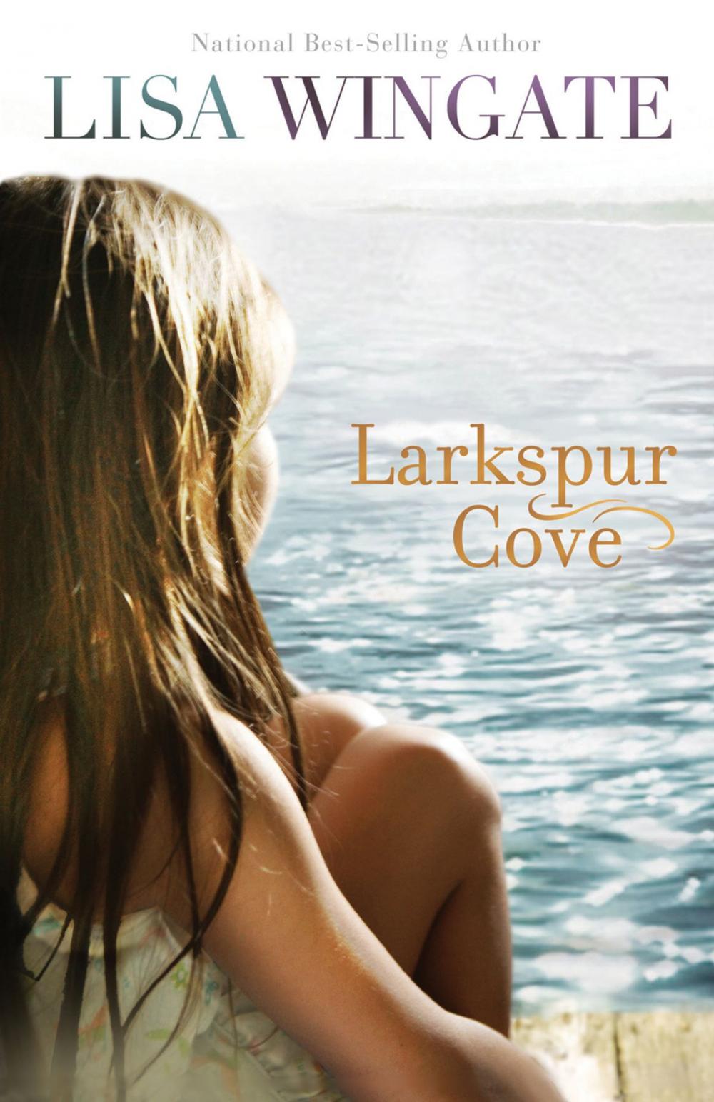 Big bigCover of Larkspur Cove (The Shores of Moses Lake Book #1)