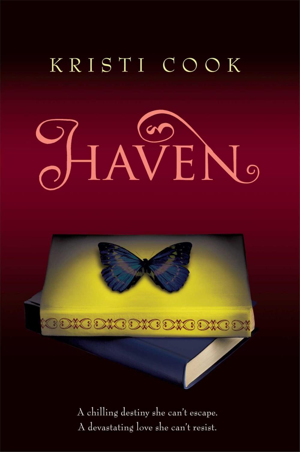 Big bigCover of Haven