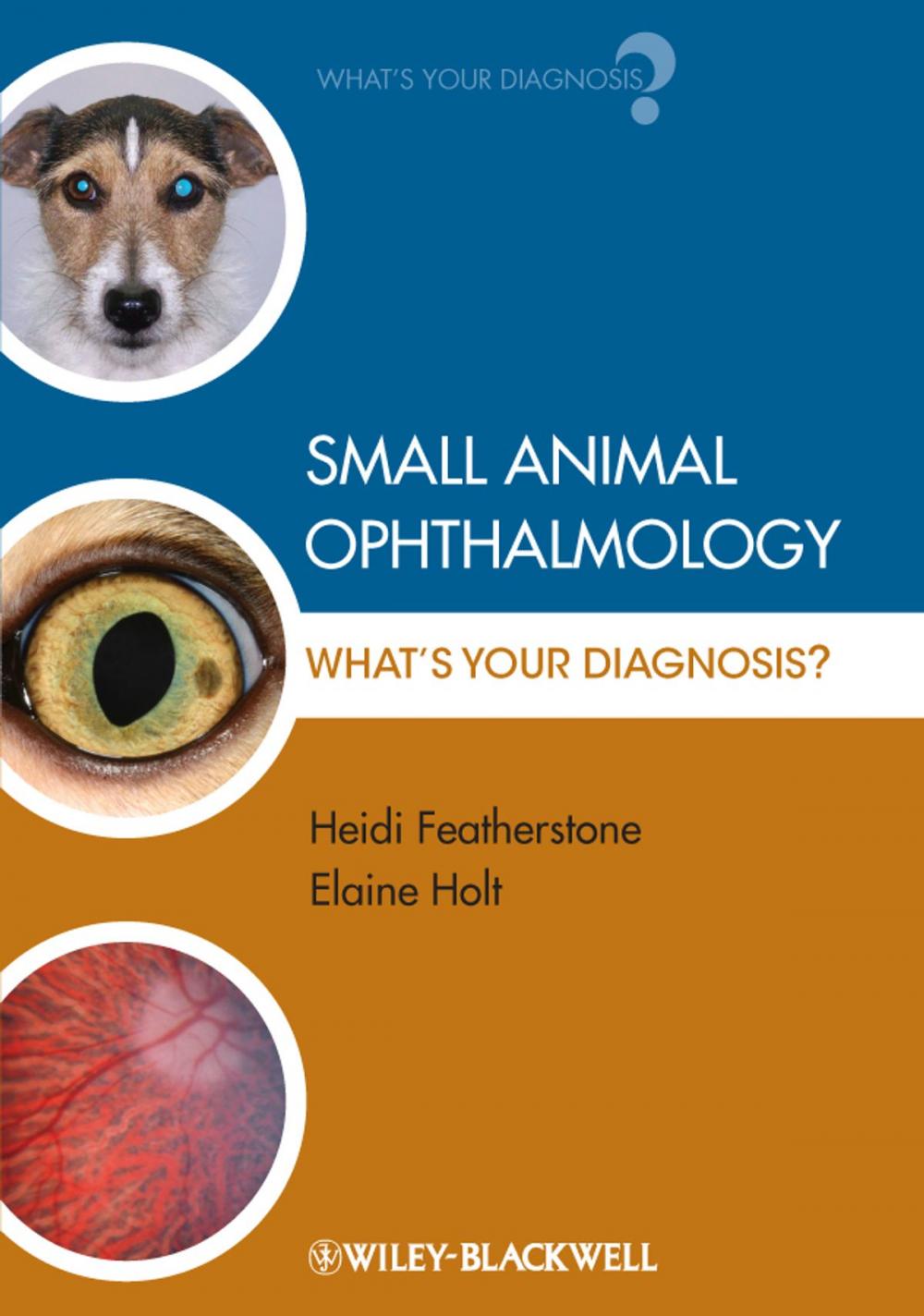 Big bigCover of Small Animal Ophthalmology