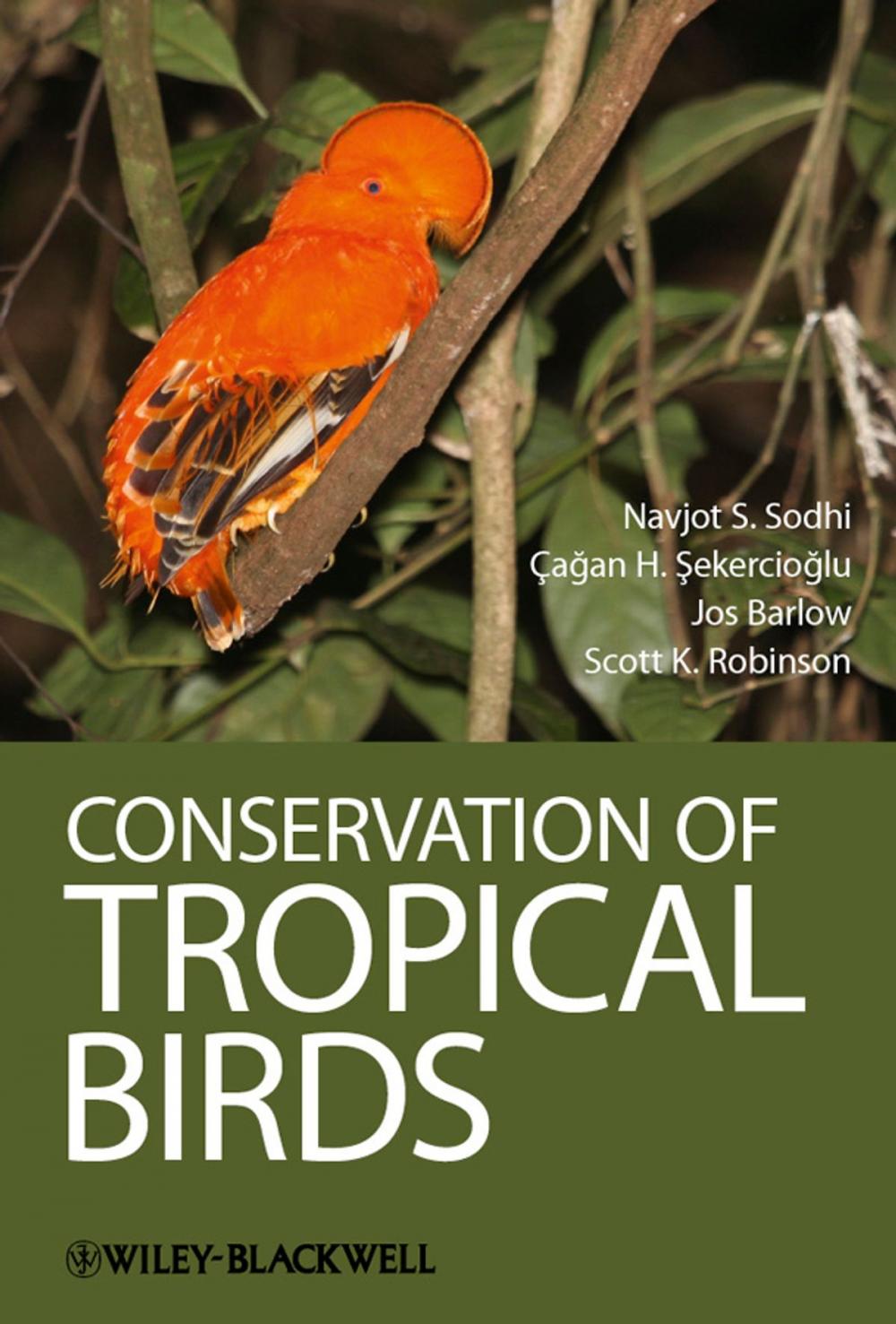 Big bigCover of Conservation of Tropical Birds