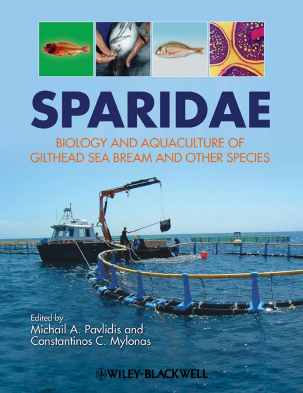 Big bigCover of Sparidae