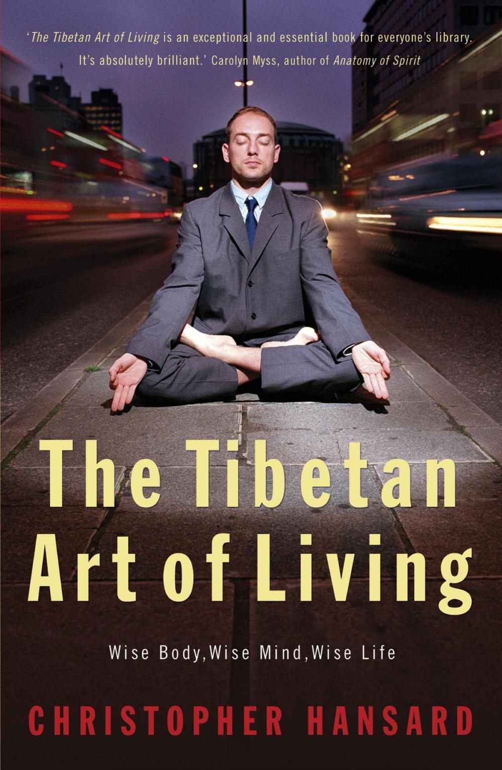 Big bigCover of The Tibetan Art of Living