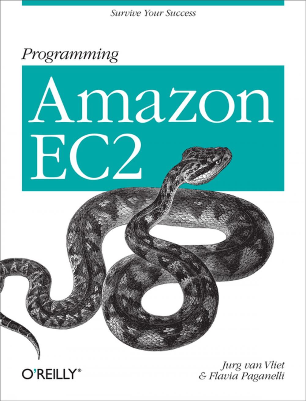 Big bigCover of Programming Amazon EC2