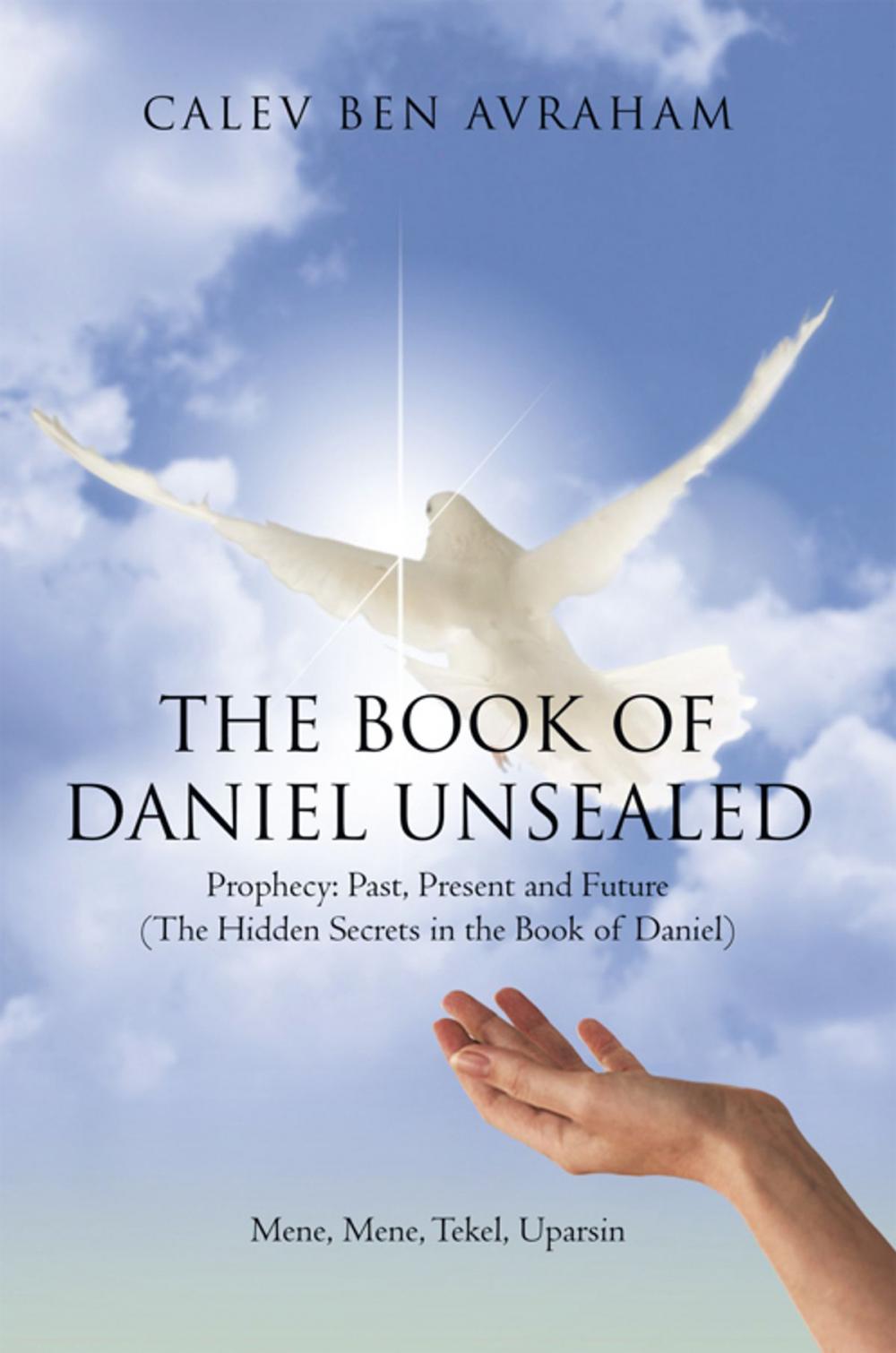 Big bigCover of The Book of Daniel Unsealed