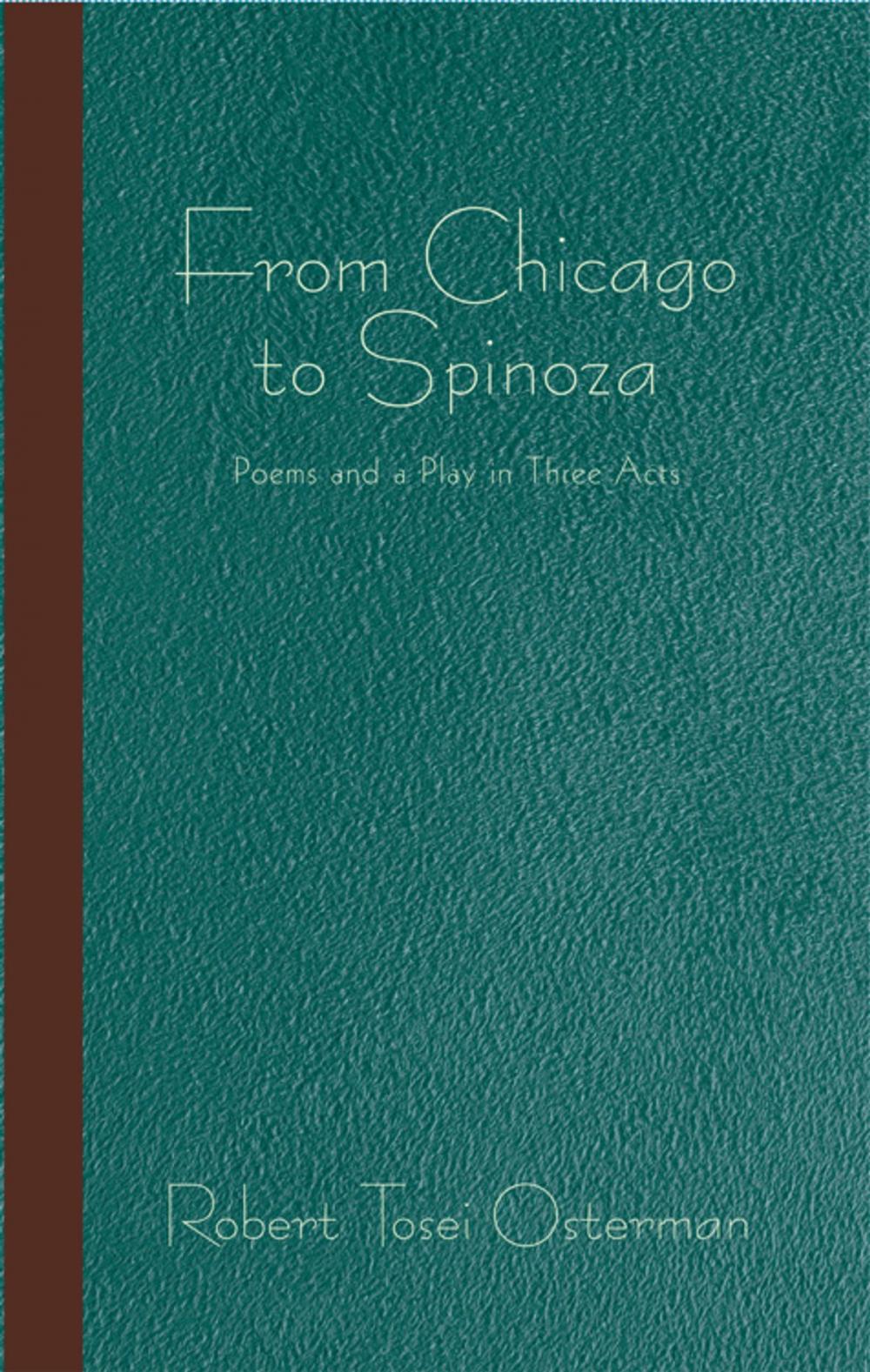 Big bigCover of From Chicago to Spinoza