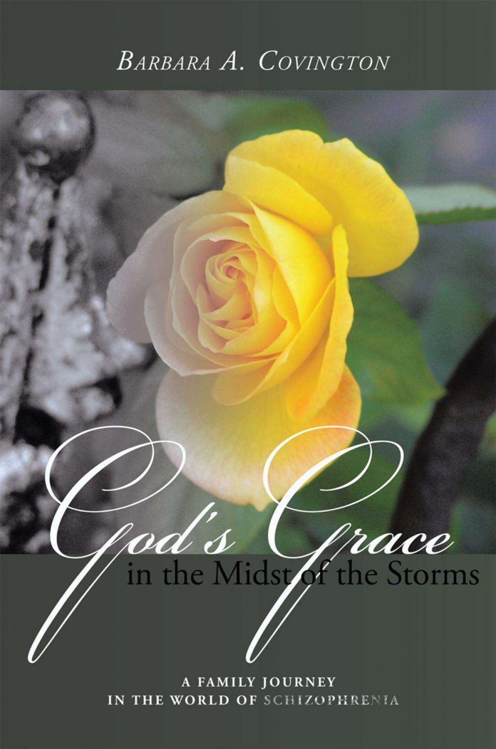 Big bigCover of God's Grace in the Midst of the Storms