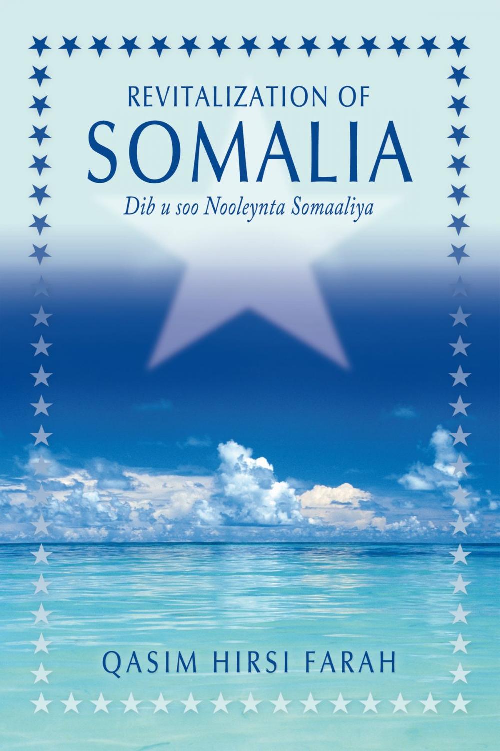 Big bigCover of Revitalization of Somalia