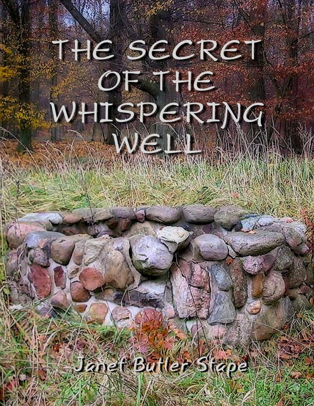 Big bigCover of The Secret of the Whispering Well