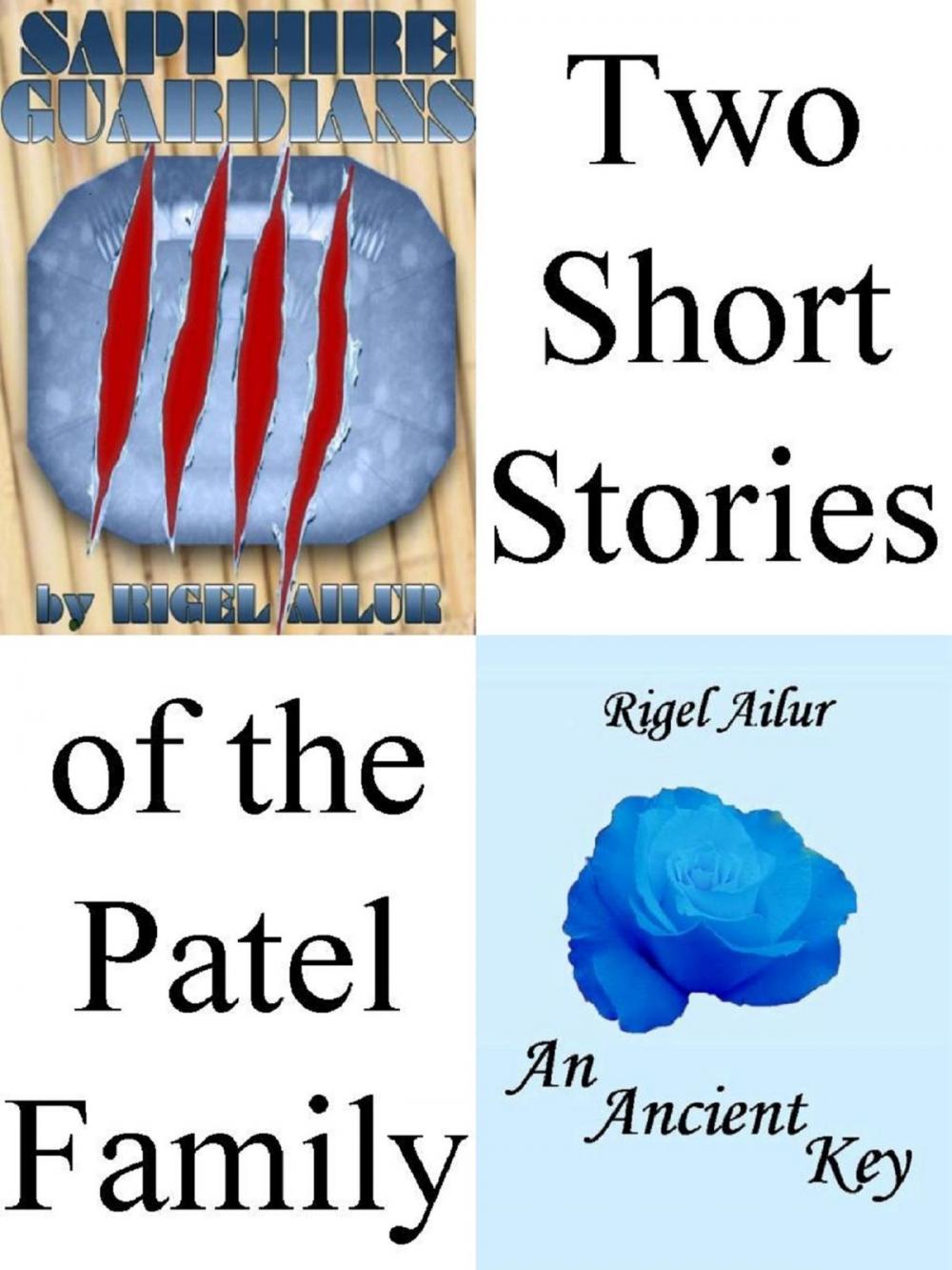 Big bigCover of Patels: A Duology