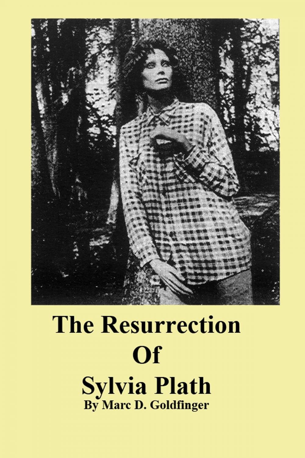 Big bigCover of The Resurrection of Sylvia Plath