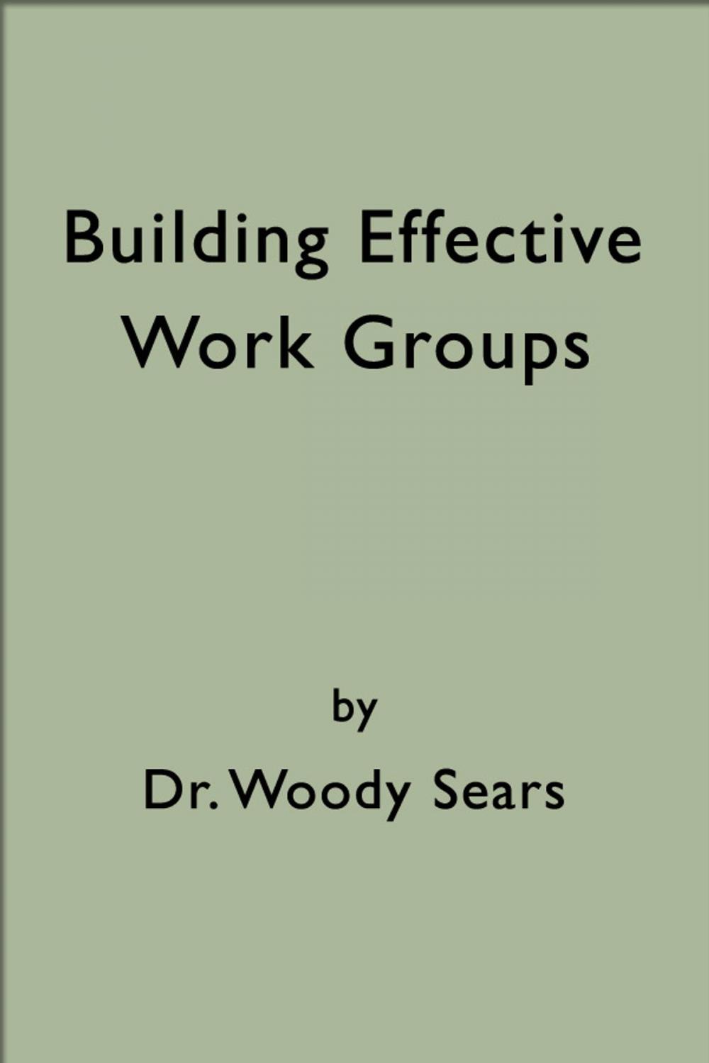 Big bigCover of Building Effective Work Groups