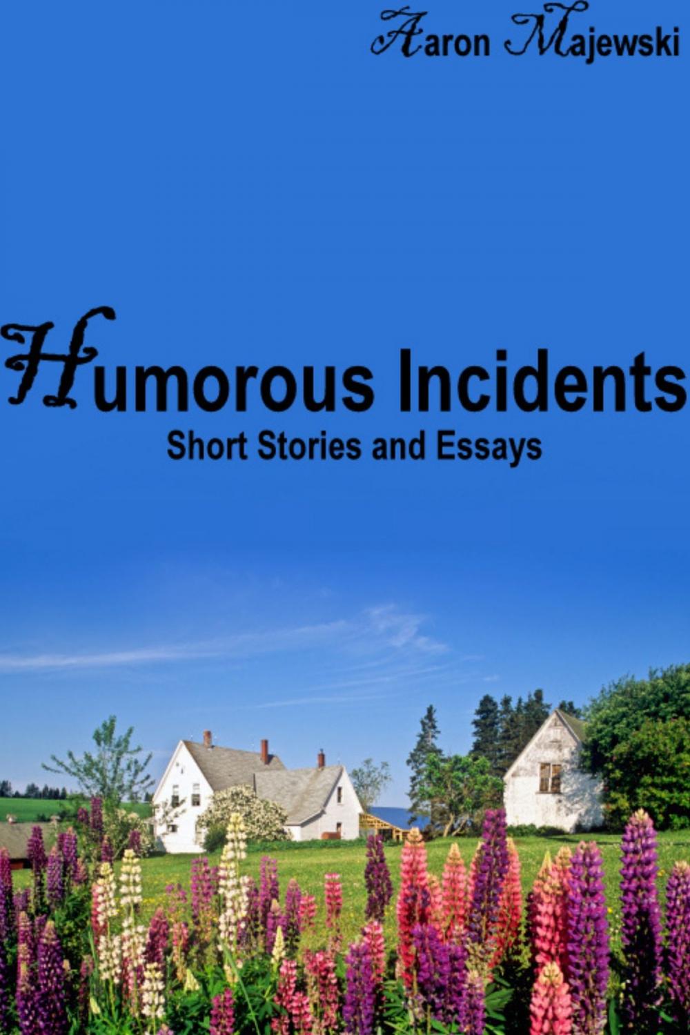 Big bigCover of Humorous Incidents: Short Stories and Essays