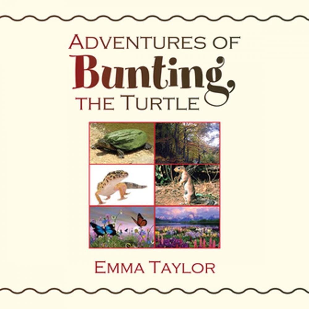 Big bigCover of Adventures of Bunting, the Turtle