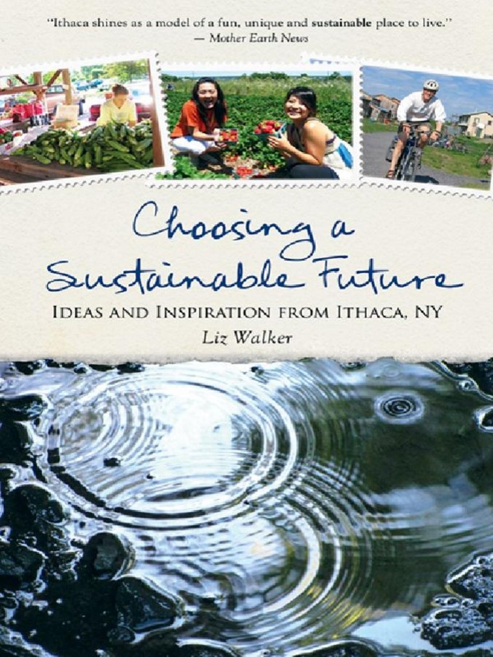 Big bigCover of Choosing A Sustainable Future