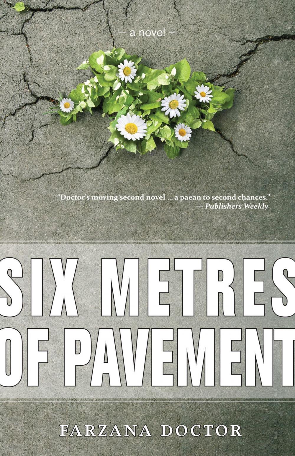 Big bigCover of Six Metres of Pavement