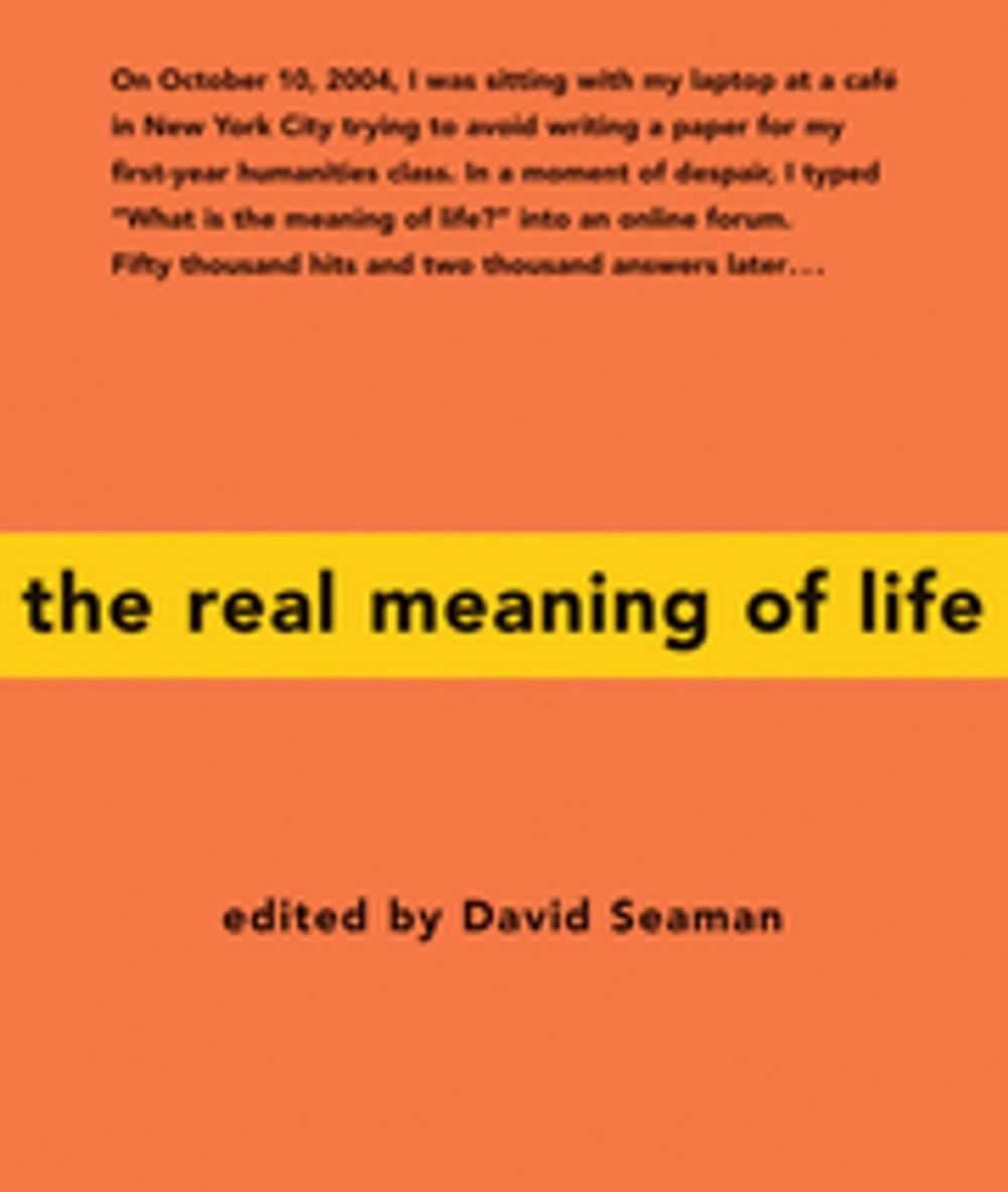 Big bigCover of The Real Meaning of Life