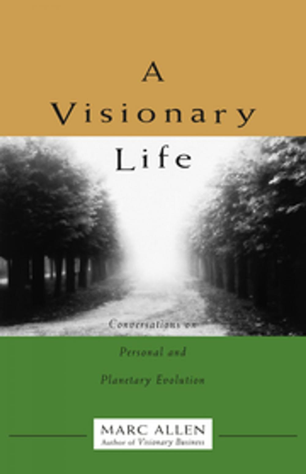 Big bigCover of A Visionary Life