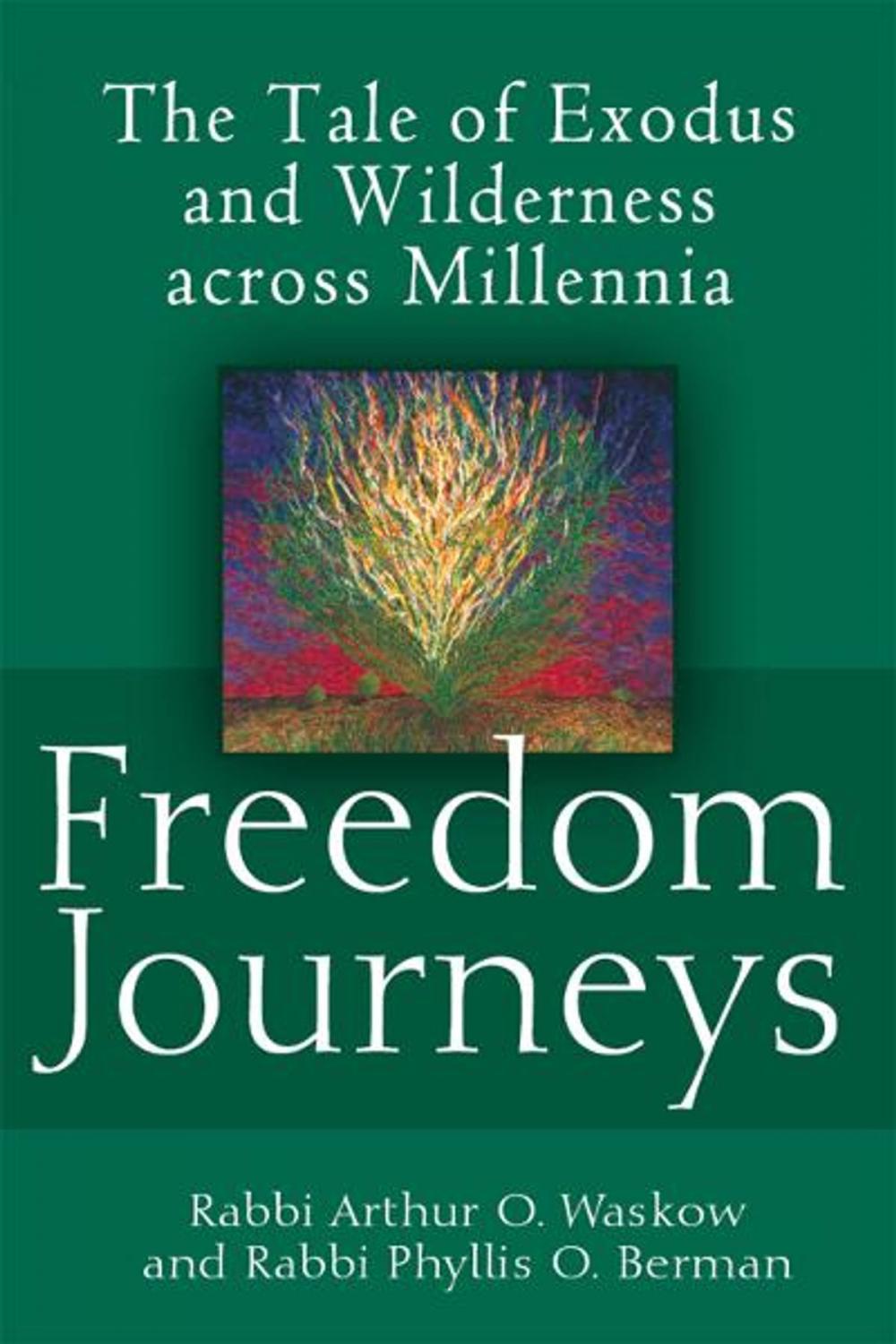 Big bigCover of Freedom Journeys: The Tale of Exodus and Wilderness across Millennia