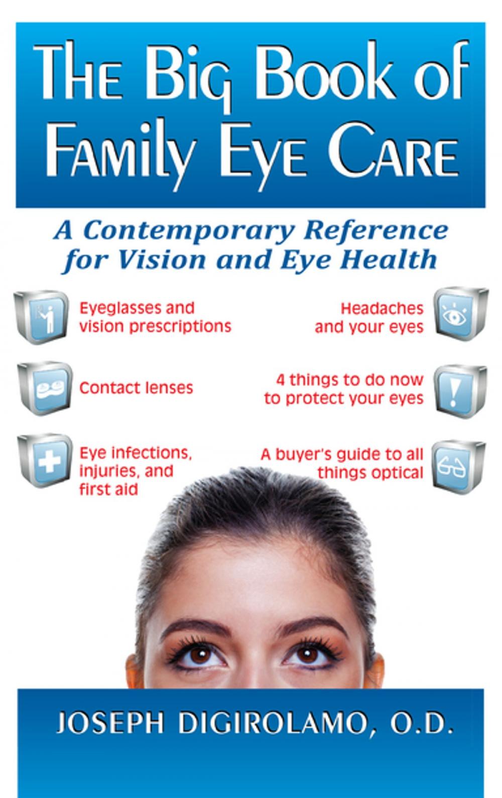 Big bigCover of The Big Book of Family Eye Care