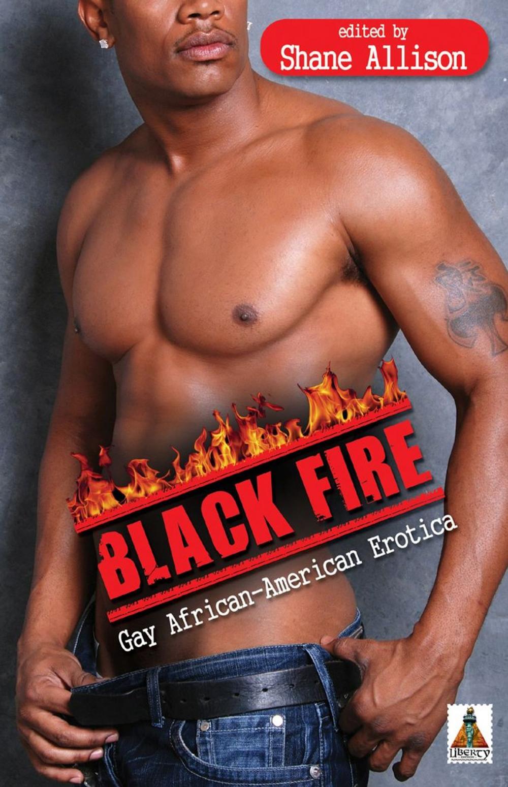 Big bigCover of Black Fire: Gay African-American Erotica