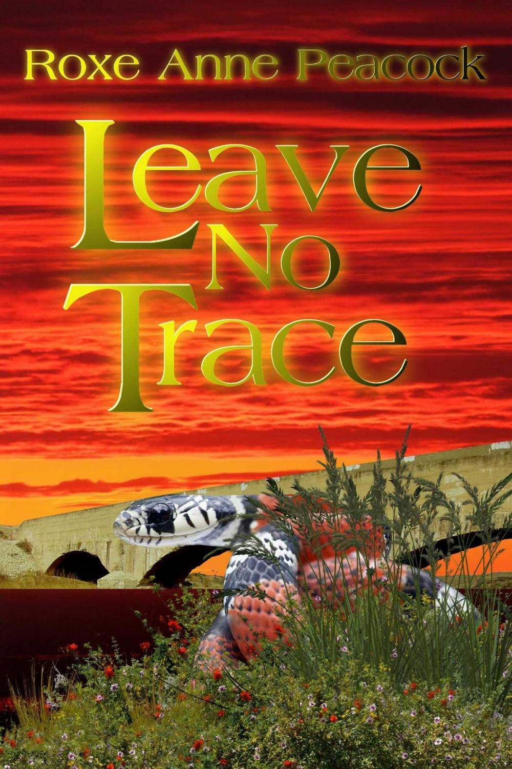 Big bigCover of Leave No Trace