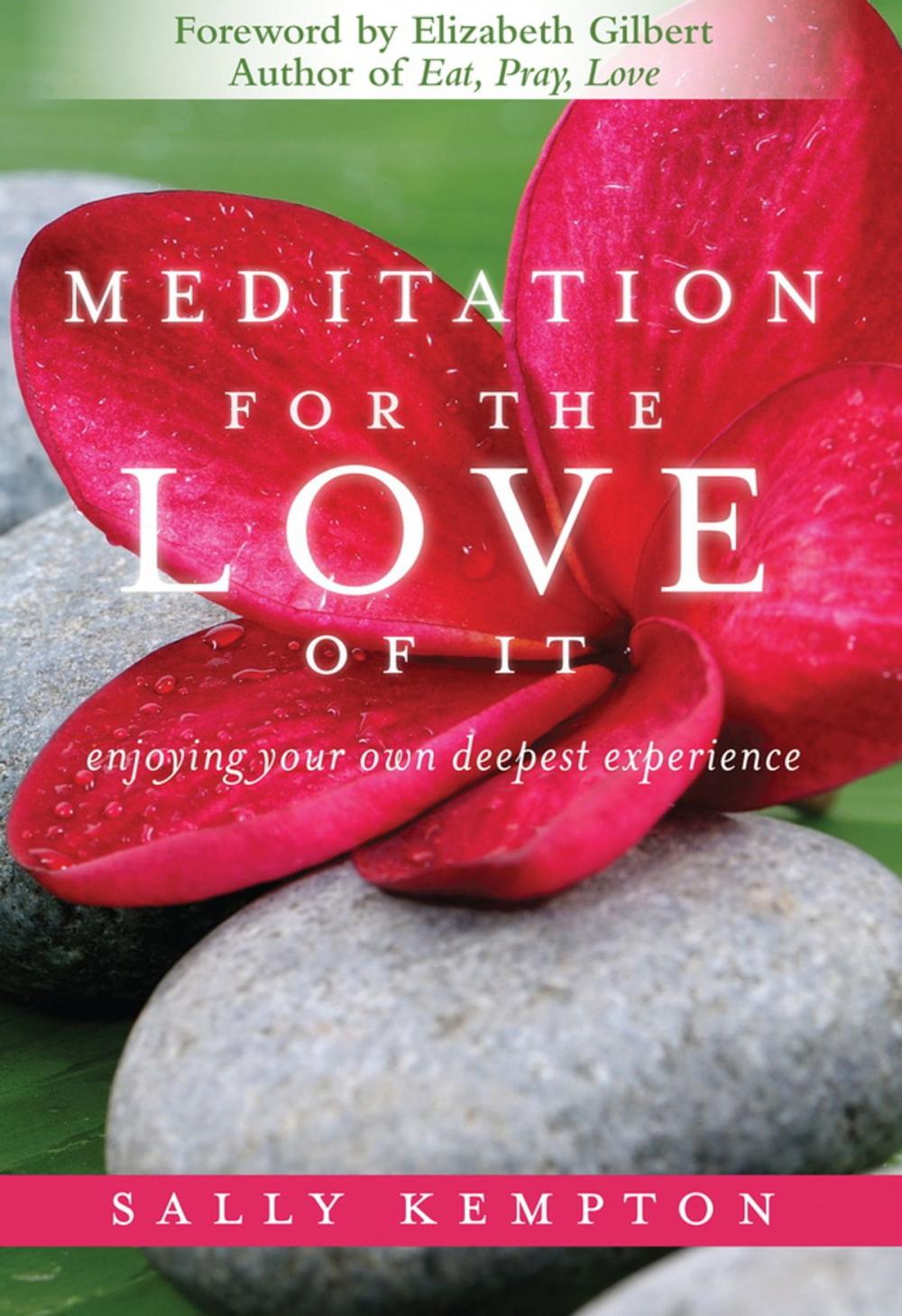 Big bigCover of Meditation for the Love of It