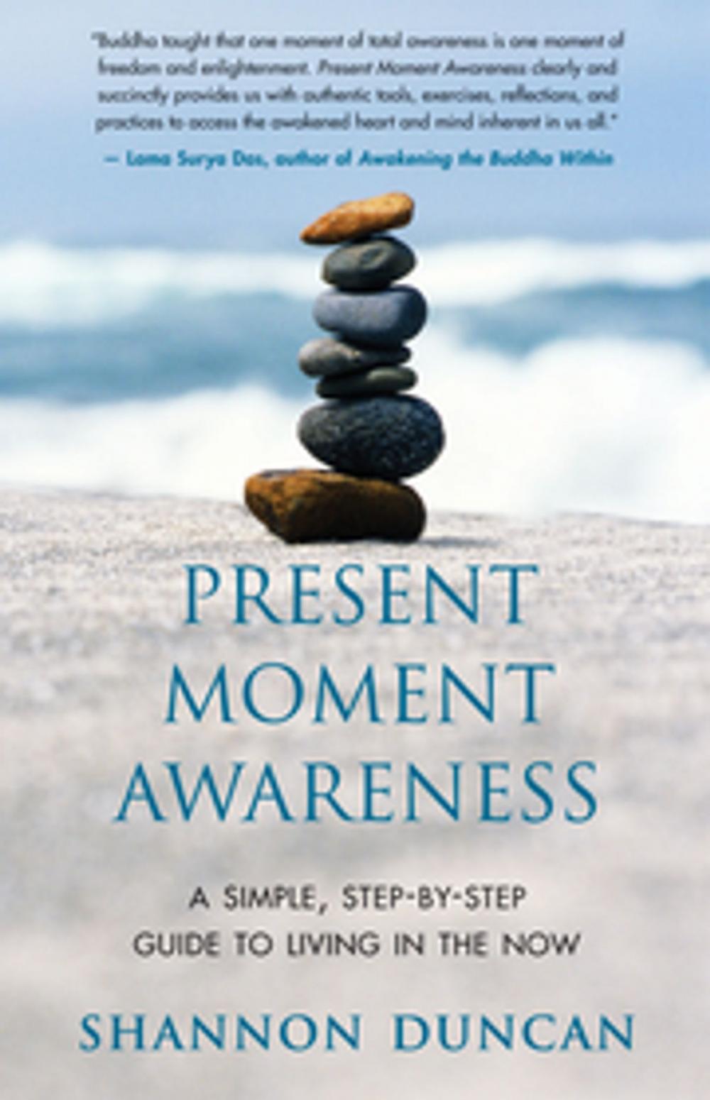 Big bigCover of Present Moment Awareness