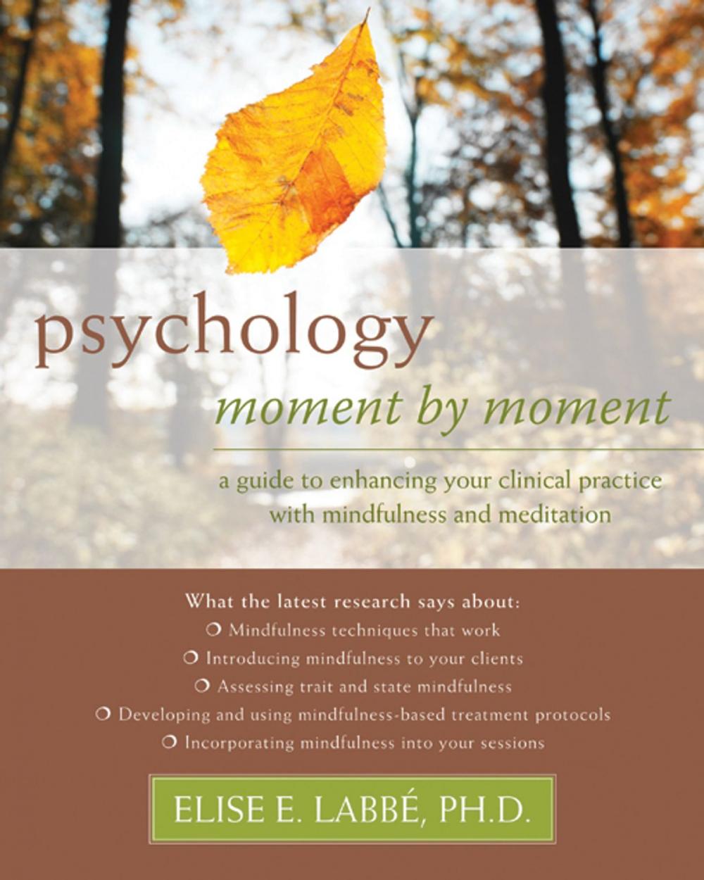 Big bigCover of Psychology Moment by Moment