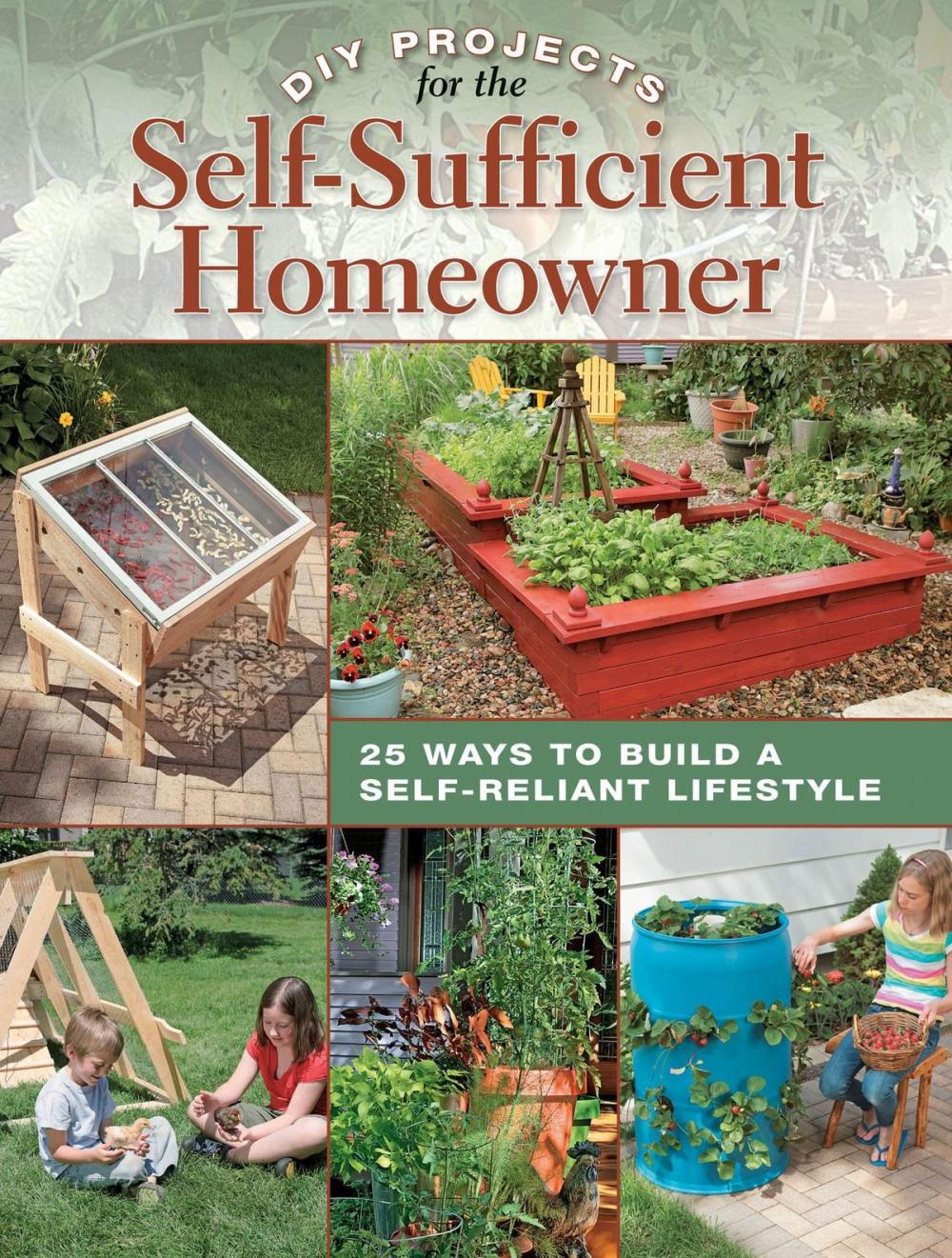 Big bigCover of DIY Projects for the Self-Sufficient Homeowner: 25 Ways to Build a Self-Reliant Lifestyle