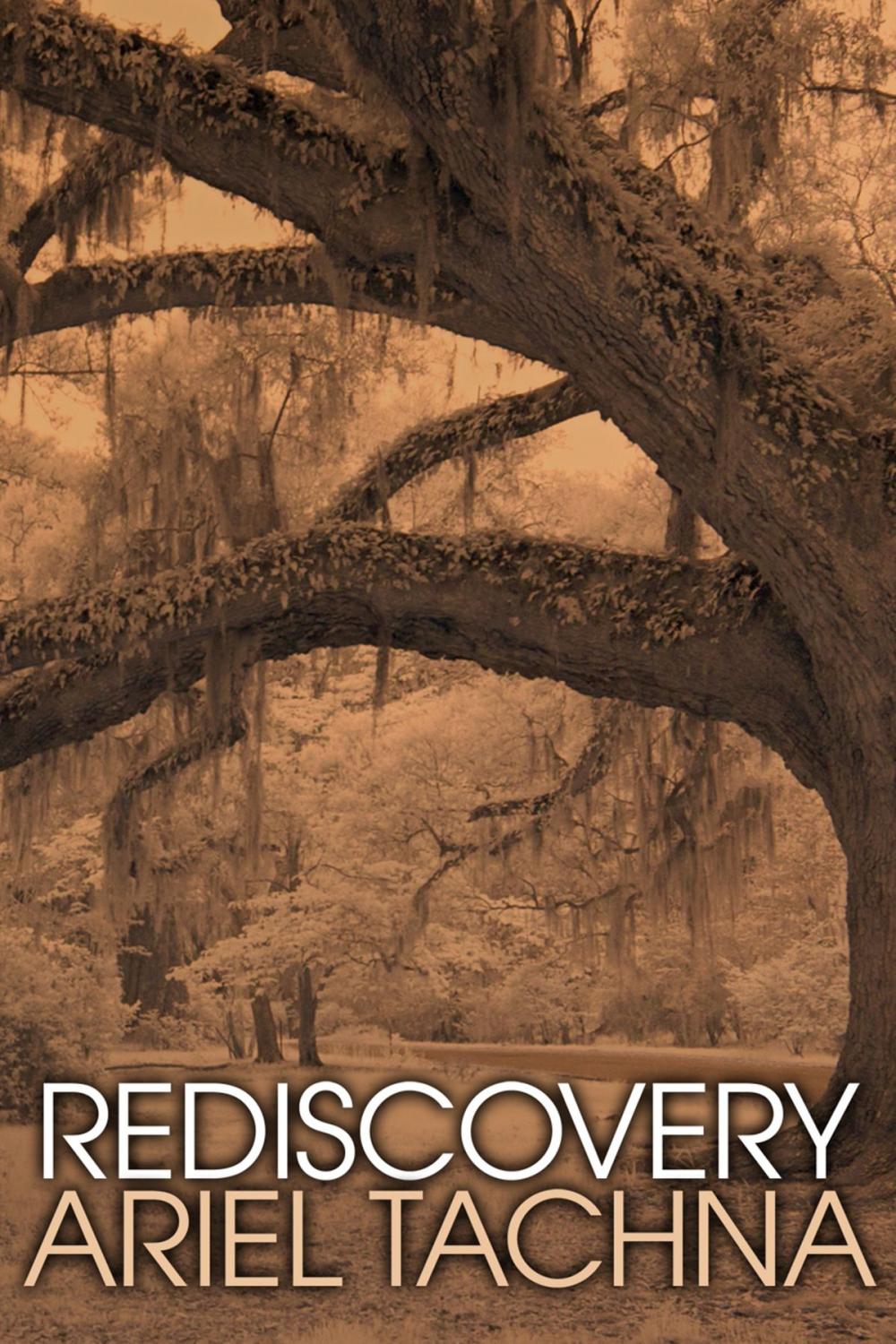 Big bigCover of Rediscovery