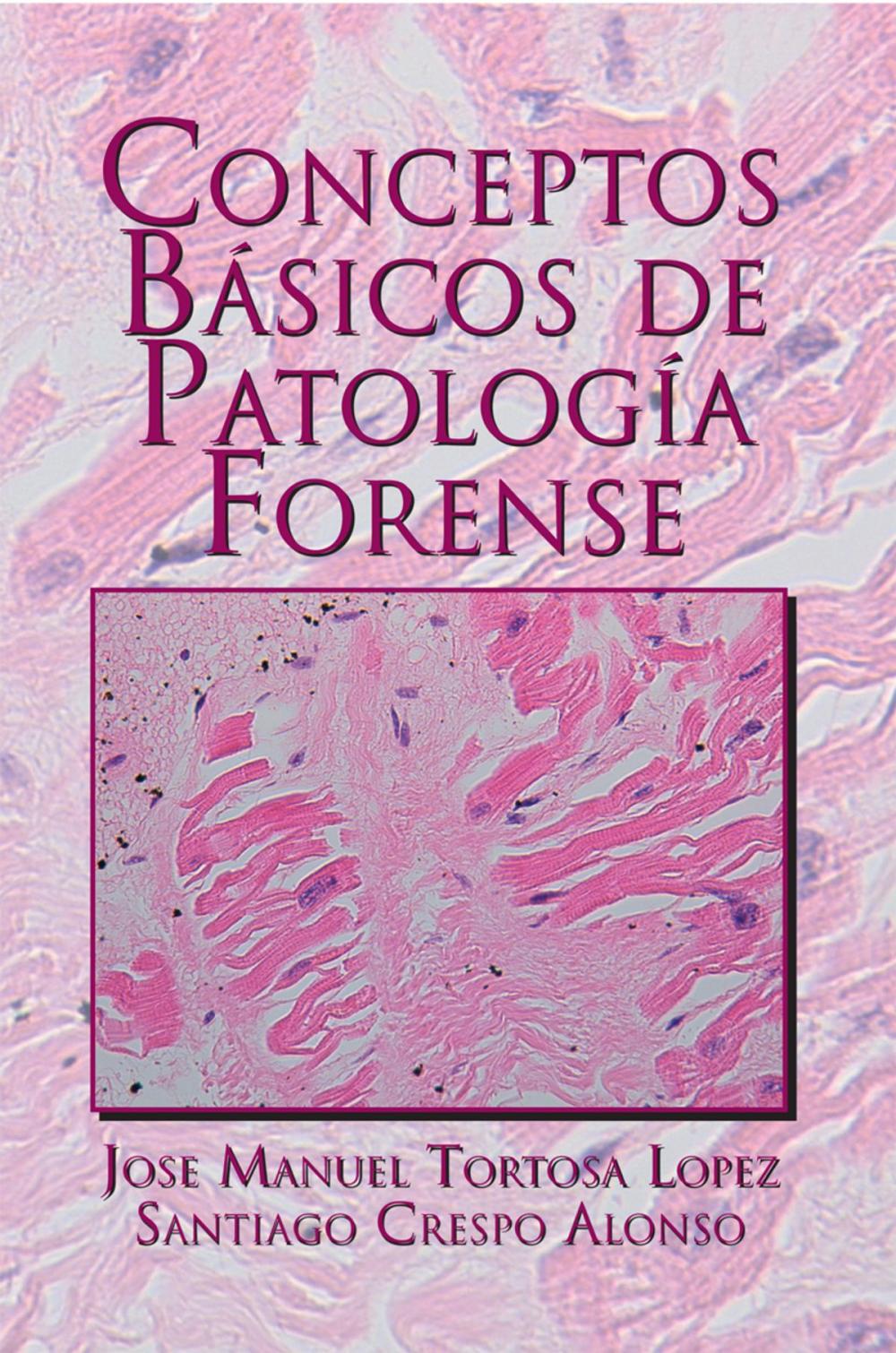 Big bigCover of Conceptos Básicos De Patología Forense