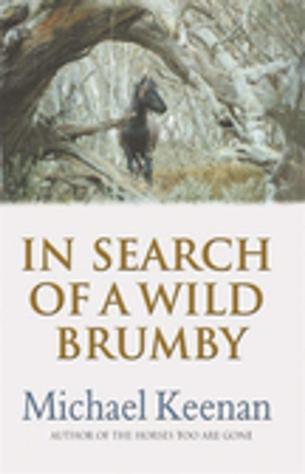 Big bigCover of In Search Of A Wild Brumby
