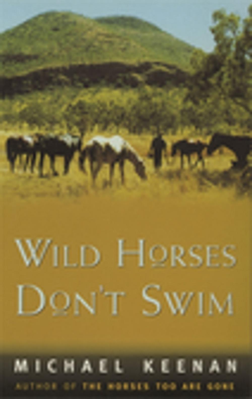 Big bigCover of Wild Horses Don't Swim