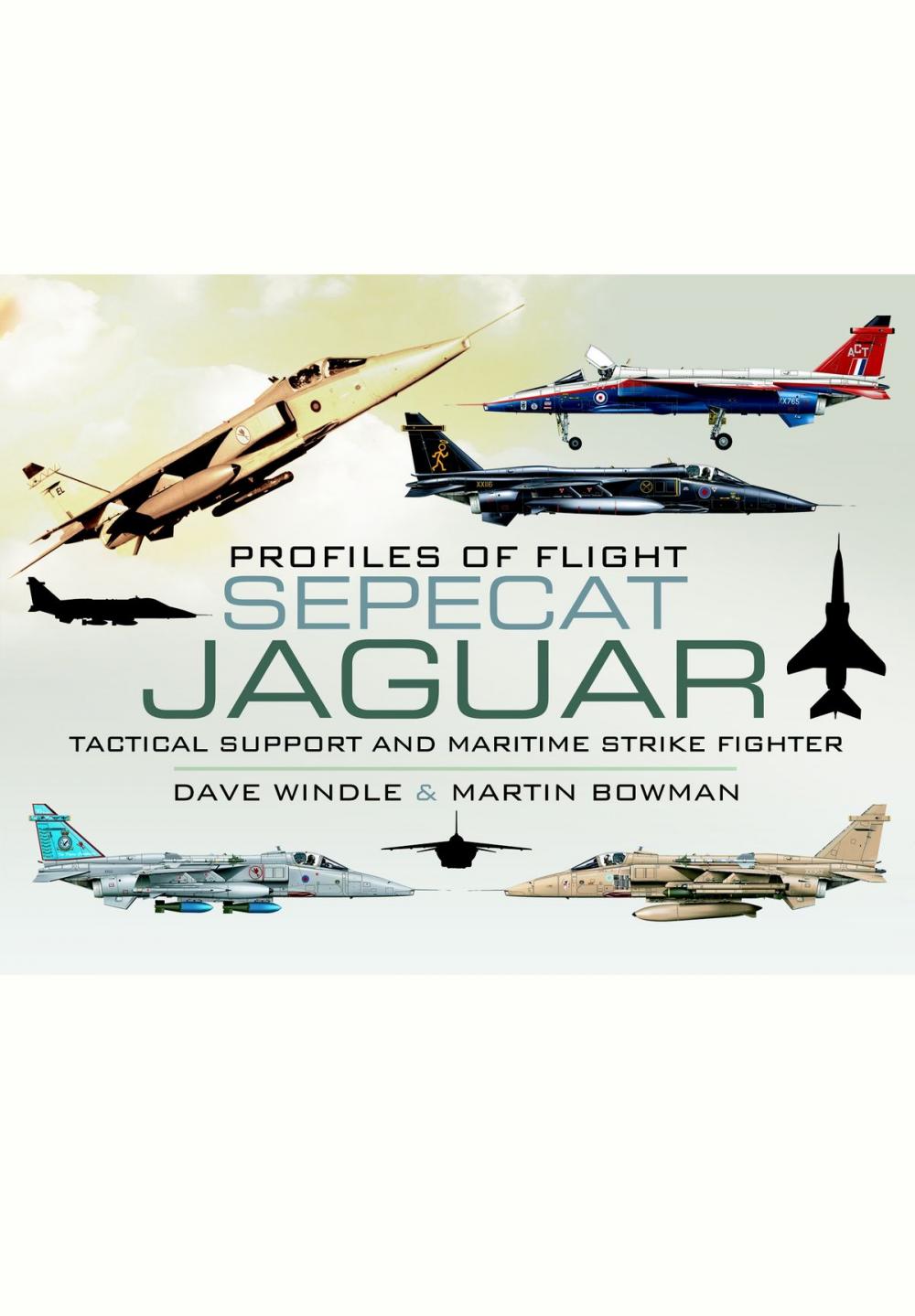 Big bigCover of Sepecat Jaguar