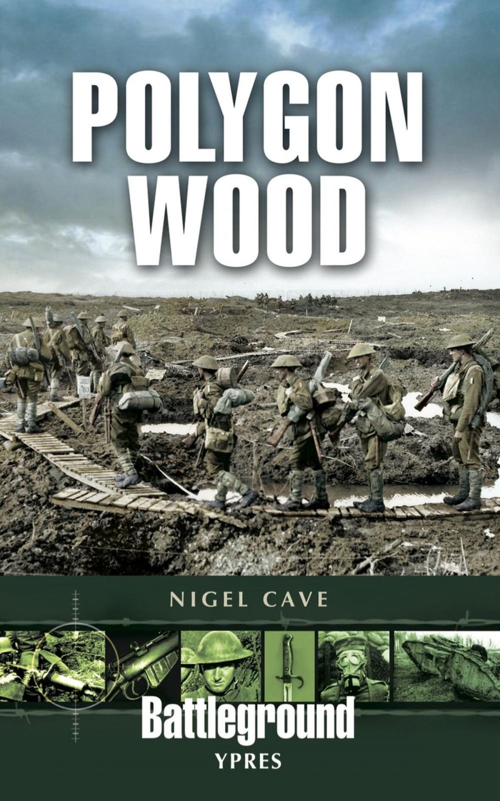 Big bigCover of Polygon Wood