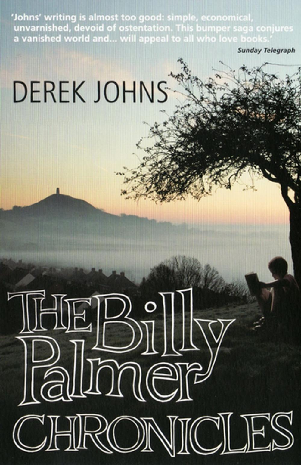 Big bigCover of The Billy Palmer Chronicles